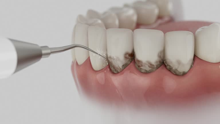 Reliable Dental contractor in Comstock Northwest, MI by Dentist Open Now